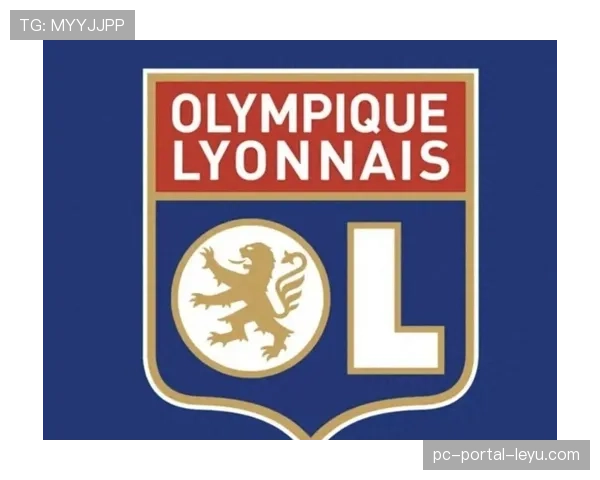 法国职业足球联盟公布下赛季法甲联赛用球设计 法国职业足球联盟公布下赛季法甲联赛用球设计